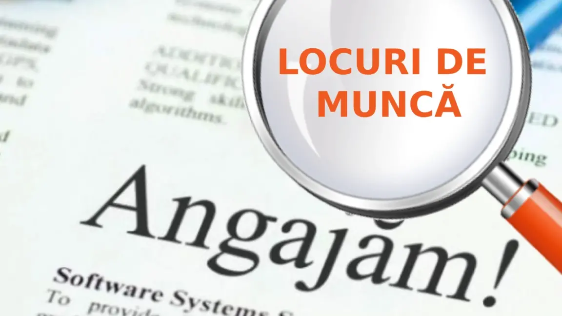 Cele mai sigure locuri de muncă din România! Cine sunt cei protejați în fața turbulențelor economice?