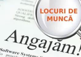 Cele mai sigure locuri de muncă din România! Cine sunt cei protejați în fața turbulențelor economice?
