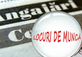 Oportunități remarcabile în Europa! Peste 3000 de locuri de muncă cu salarii de până la 5000 euro așteaptă muncitorii români