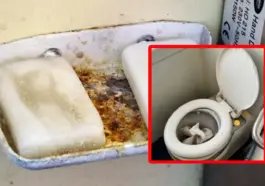 Calvarul călătoriei cu trenul - mizerie și dezordine pe ruta Constanța-București