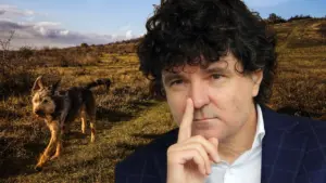 Campania de sterilizare și microcipare gratuită a câinilor reîncepe în București sub inițiativa lui Nicușor Dan