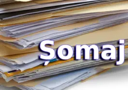 Scădere impresionantă a ratei șomajului în România la finalul anului 2023