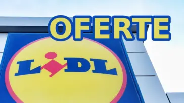 Oferte irezistibile la Lidl în săptămâna 19-25 august 2024: Un nou val de reduceri pentru toți clienții fideli