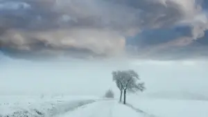 Ciclonul Paulina paralizează România: viscol, ninsori și haos pe șosele!