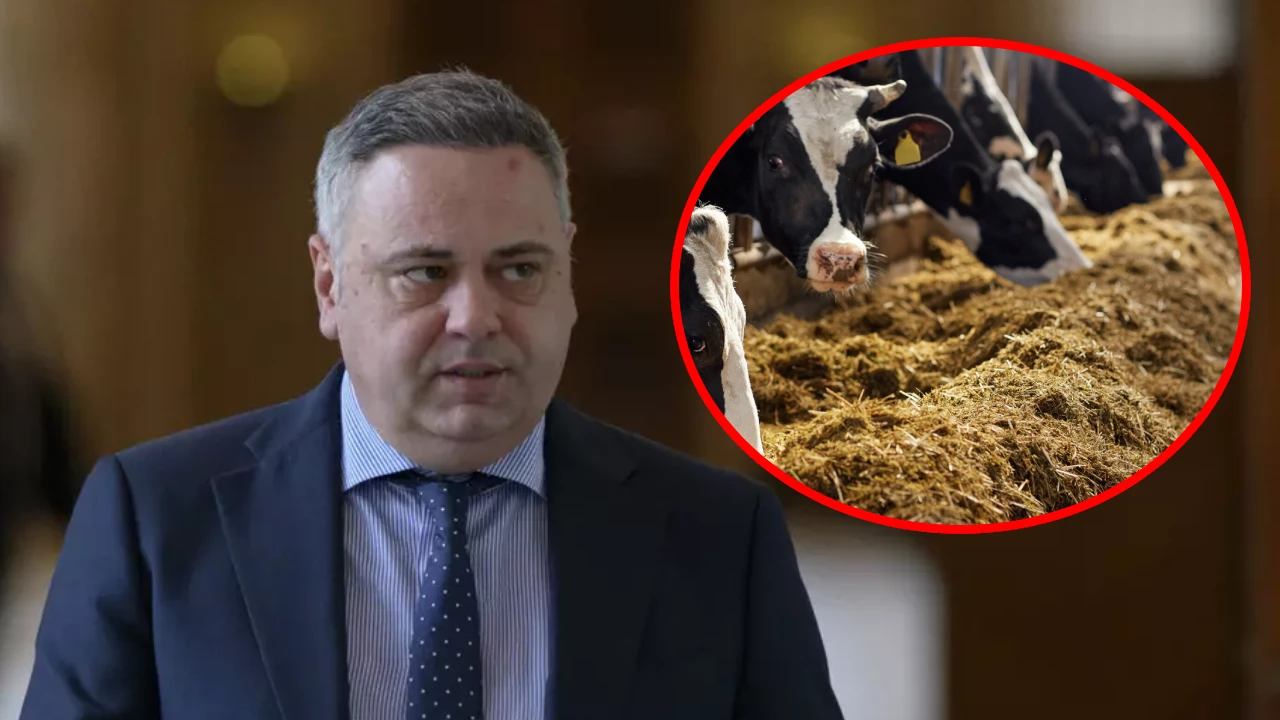 Viitorul creșterii de ovine: soluții concerte discutate cu Ministrul Agriculturii