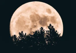 Magia solstițiului de iarnă! Cea mai lungă noapte a anului și începutul renașterii luminii