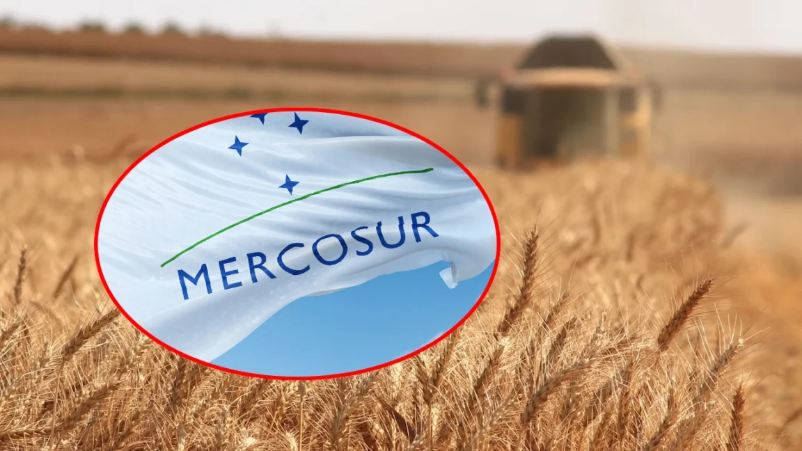 Acordul UE-Mercosur: Pericolul iminent pentru agricultura României!