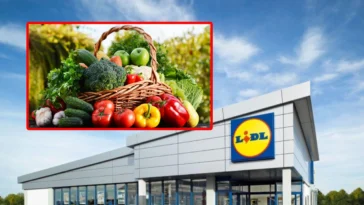 Lidl renunță la produse iubite, dar promite un viitor sustenabil