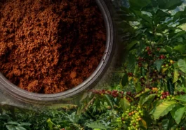 Secretele cafelei perfecte - Beneficii surprinzătoare, tipuri speciale și cât de mult poți consuma zilnic fără riscuri