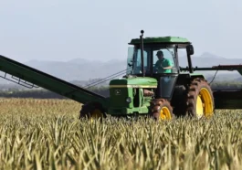 Termen-limită important pentru fermieri! Cererile de rambursare a ajutorului de stat pentru motorină