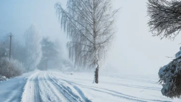 Alertă meteo! Trei județe sub cod galben de ninsori și viscol, iar gerul se intensifică în toată țara