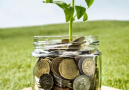 Pensii private în creștere! Activele fondurilor au atins un nou record în 2024