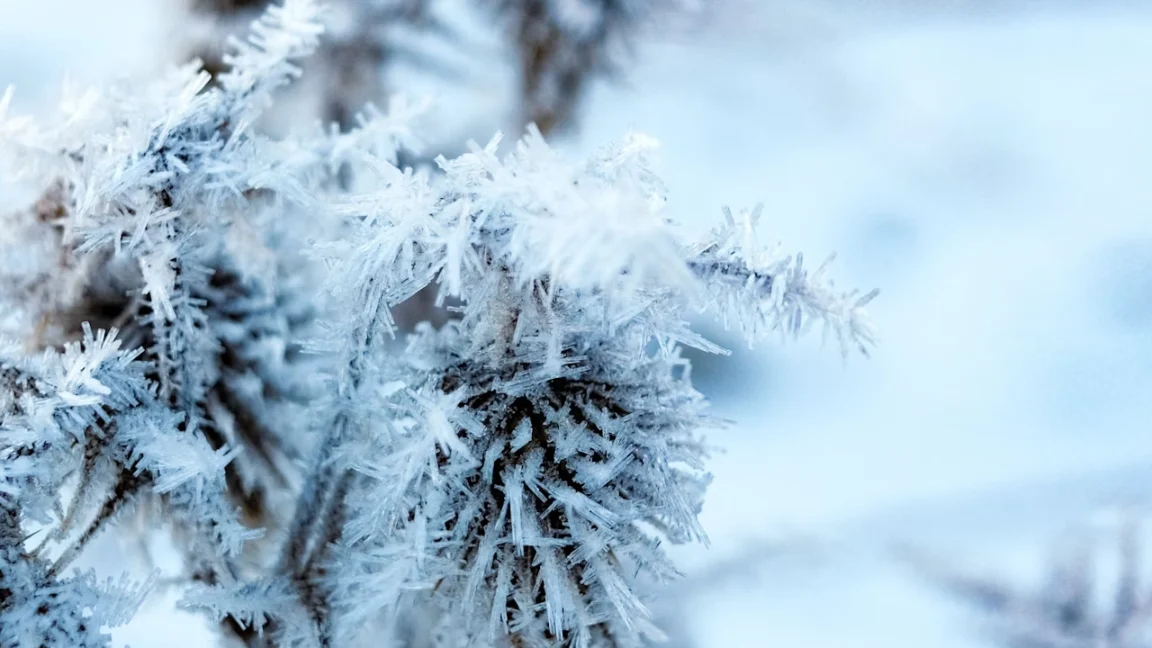 Vreme extrem de rece în România! Ger și fulguieli izolate în zilele următoare