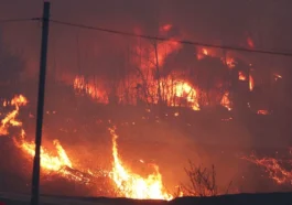 Flăcările tragediei cuprind Coreea de Sud! Lupta eroică a pompierilor și pierderile de neînchipuit