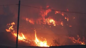 Flăcările tragediei cuprind Coreea de Sud! Lupta eroică a pompierilor și pierderile de neînchipuit