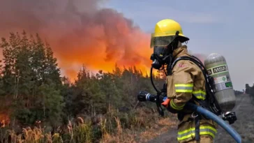 Japonia în flăcări! Mii de pompieri luptă împotriva celor mai devastatoare incendii de pădure