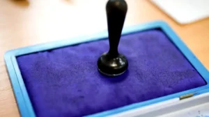 Observatori independenți sunt recrutați pentru alegerile prezidențiale din 2025 pentru a asigura transparența votului