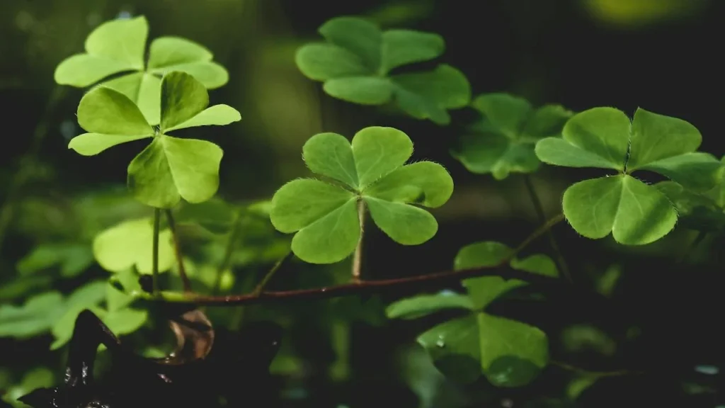 Oportunități și renaștere pentru zodiile favorizate în aprilie 2025