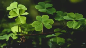 Oportunități și renaștere pentru zodiile favorizate în aprilie 2025