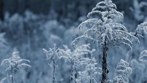 Vremea își schimbă radical fața în România, de la soare arzător la frig și ninsori în doar trei zile