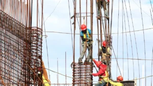 România schimbă regulile jocului pentru muncitorii străini sezonieri și pune angajatorii în fața unor noi responsabilități